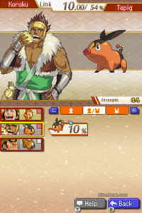 Koroku and his Tepig from Pokémon Conquest.