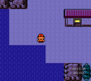 Pokémon Silver at night.