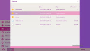 A VM folder in Doki Doki Literature Club Plus!. 