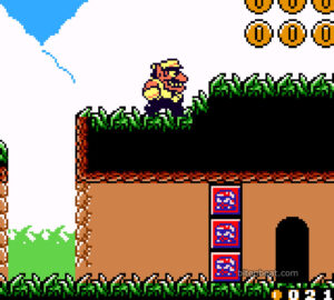 The Maze Woods stage in Wario Land II.